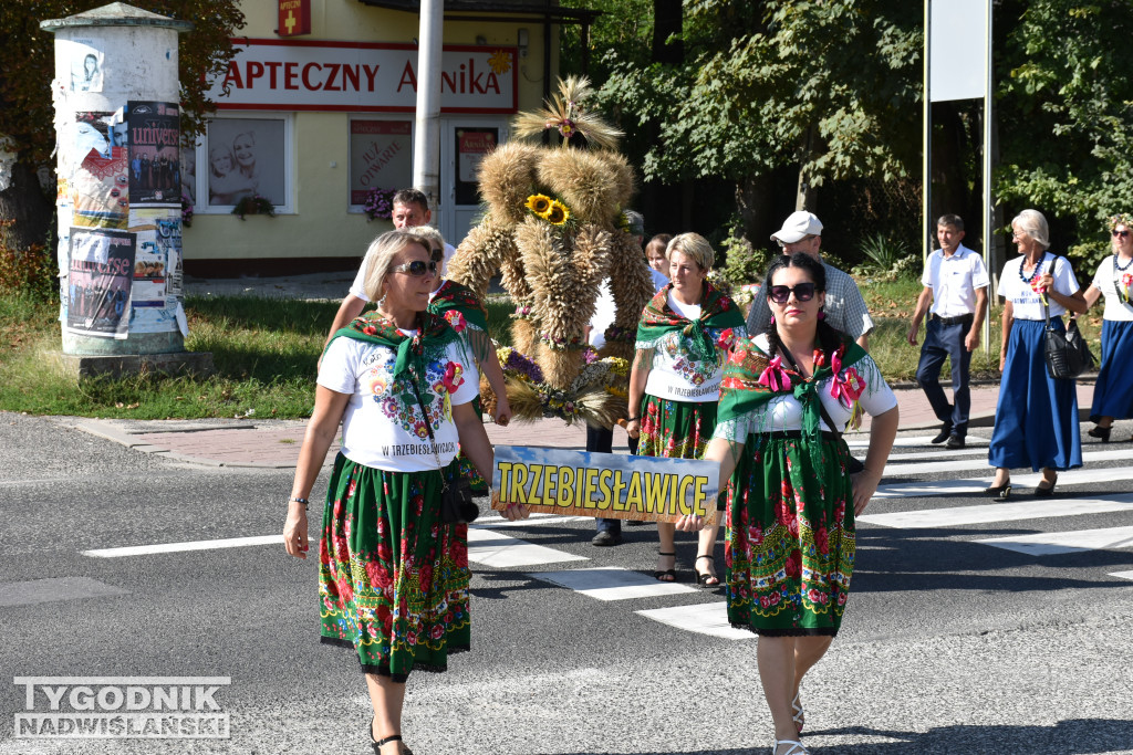 Gminne Święto Plonów w Łoniowie