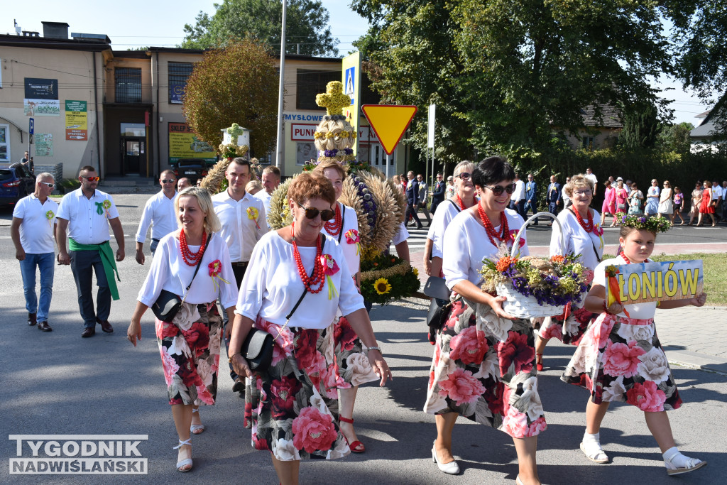 Gminne Święto Plonów w Łoniowie