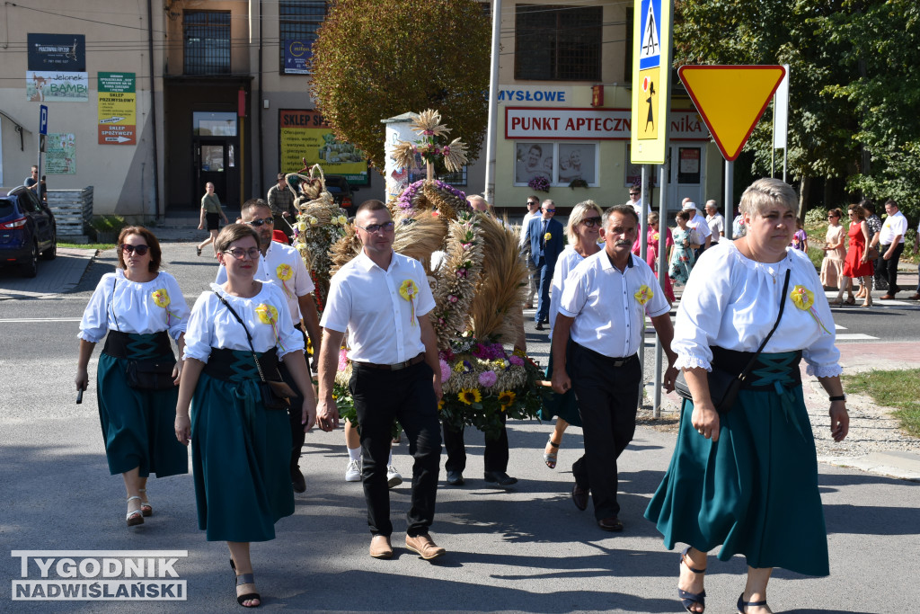 Gminne Święto Plonów w Łoniowie