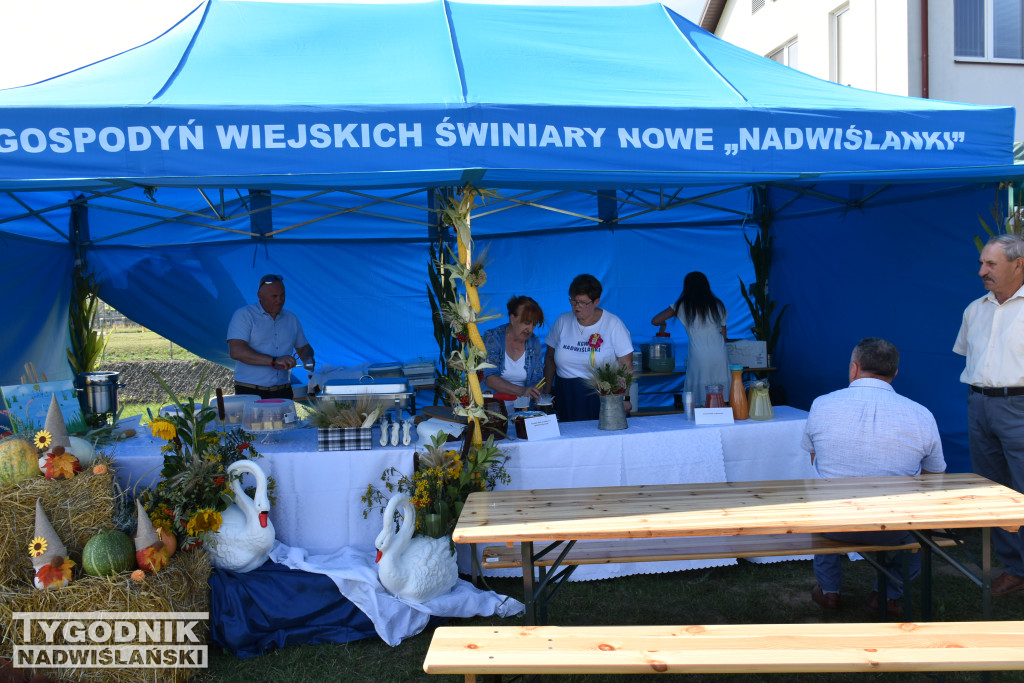 Gminne Święto Plonów w Łoniowie