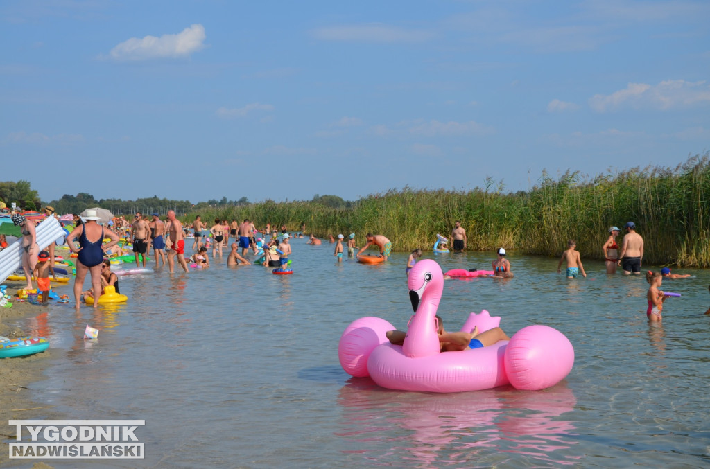 Sobota, 31 sierpnia, nad Jeziorem Tarnobrzeskim