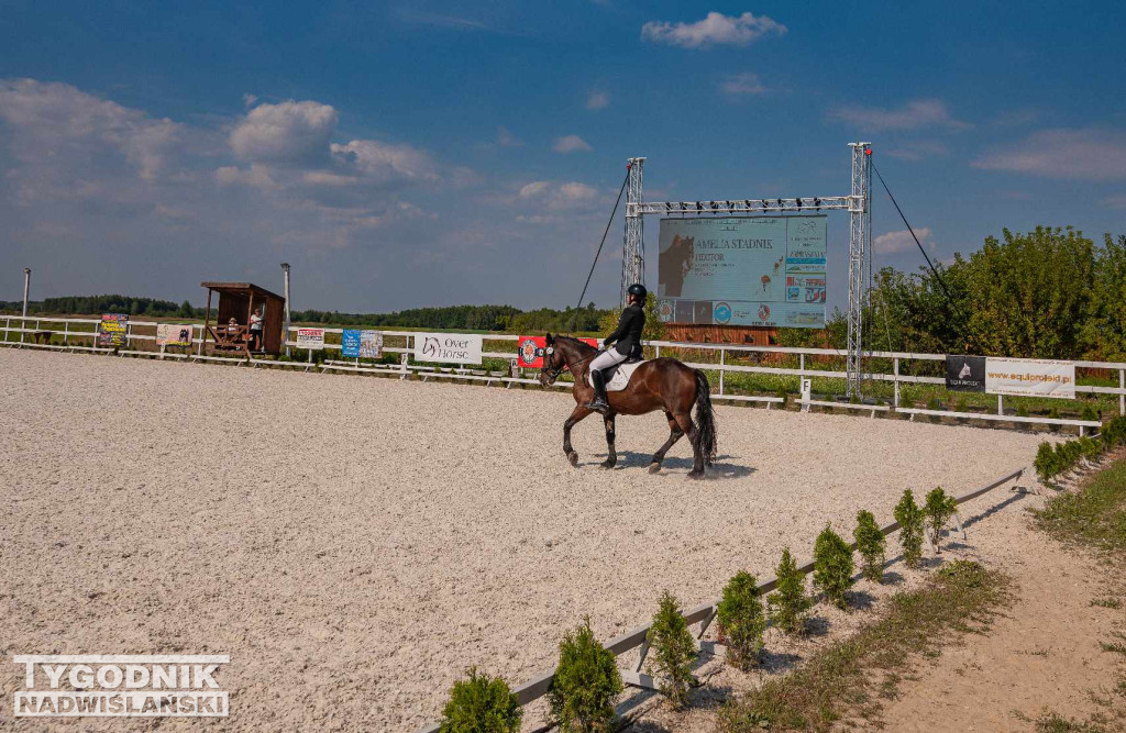 Mistrzostwa Podkarpacia w ujeżdżaniu w Wydrzy