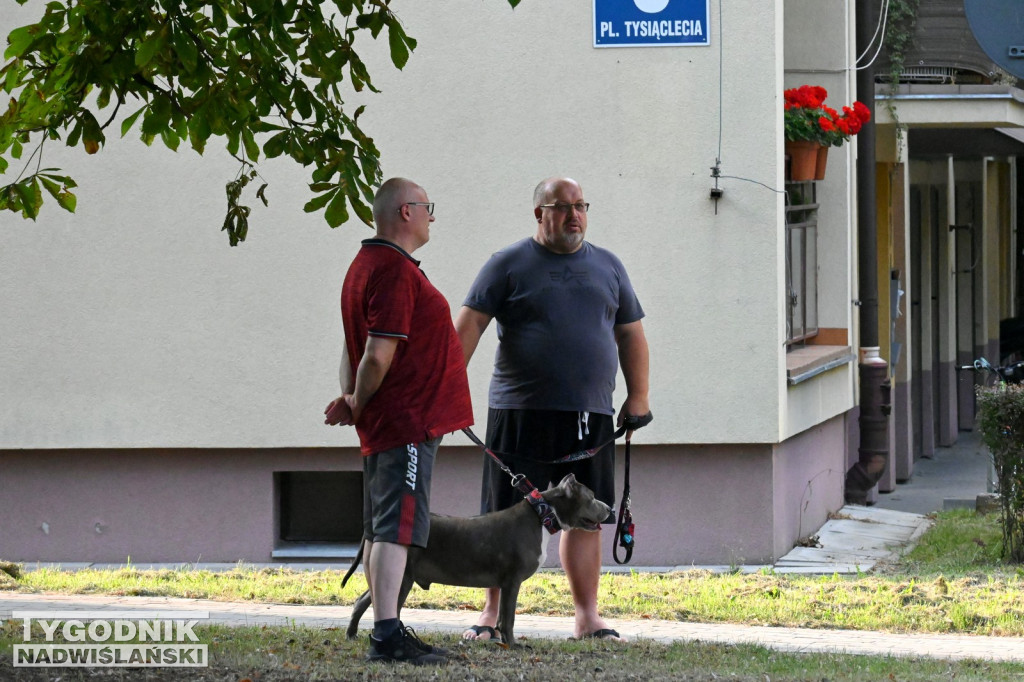 Upamiętnienie 85. rocznicy wybuchu II WŚ w Tarnobrzegu