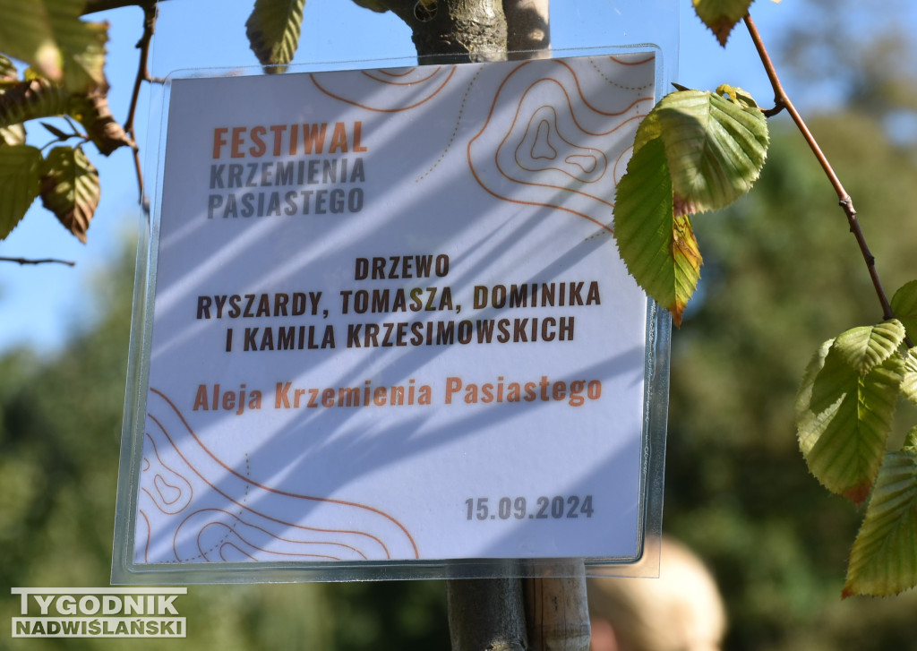 Aleja Krzemienia Pasiastego w Sandomierzu