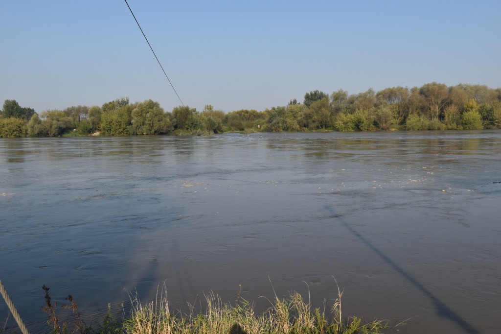 Stan wody na Wiśle w Tarnobrzegu 18.09.24 r.