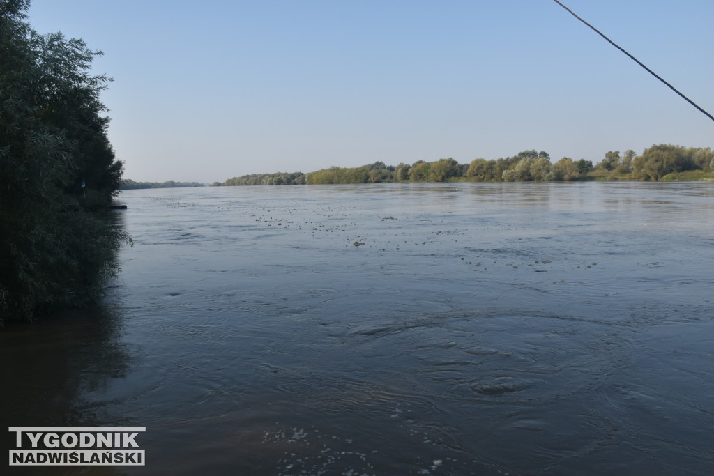 Stan wody na Wiśle w Tarnobrzegu 18.09.24 r.