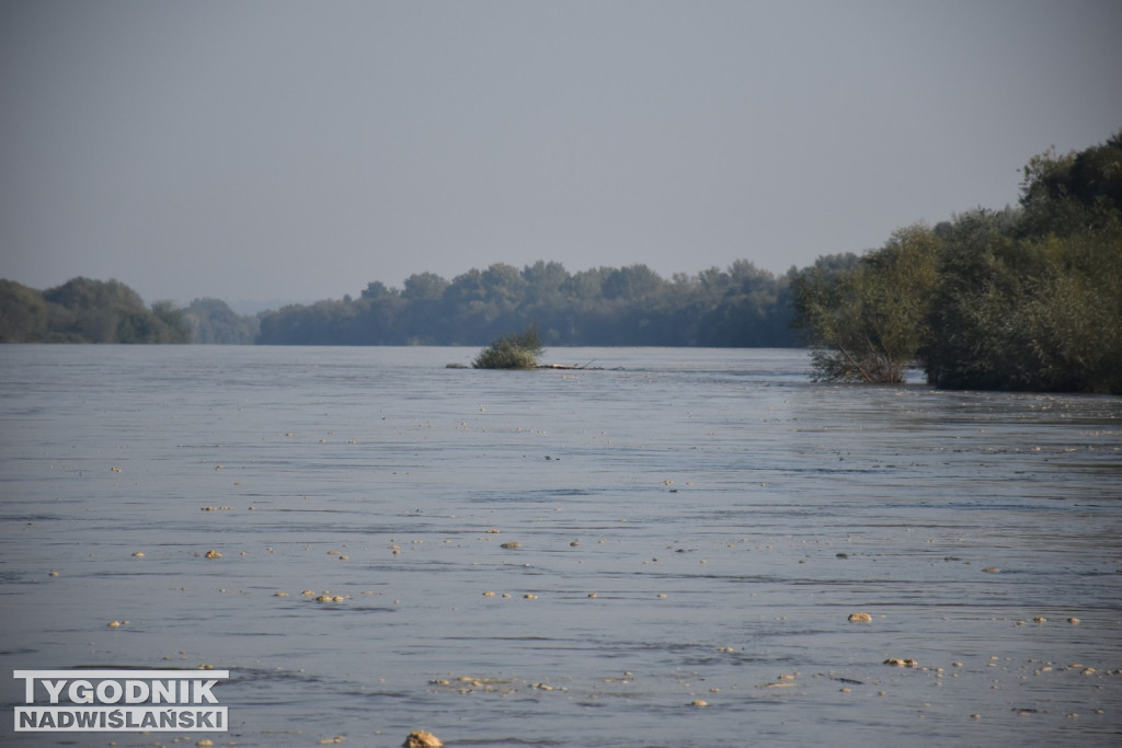 Stan wody na Wiśle w Tarnobrzegu 18.09.24 r.