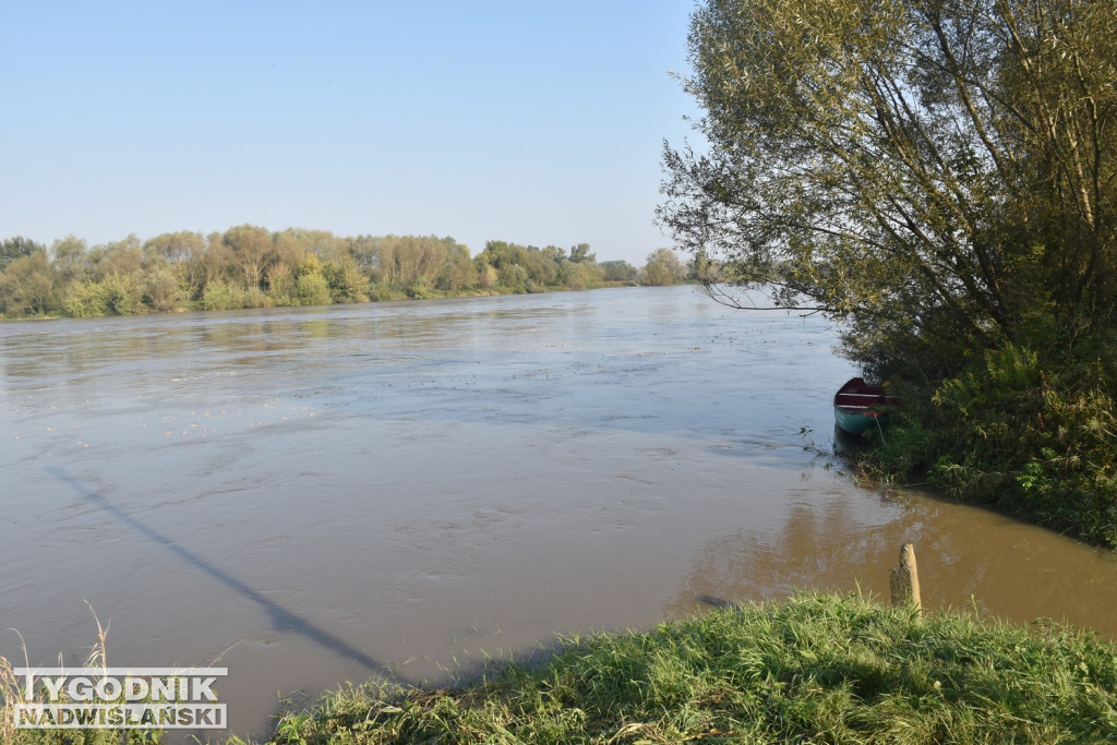 Stan wody na Wiśle w Tarnobrzegu 18.09.24 r.