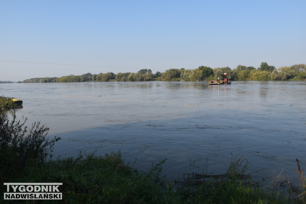 Stan wody na Wiśle w Tarnobrzegu 18.09.24 r.