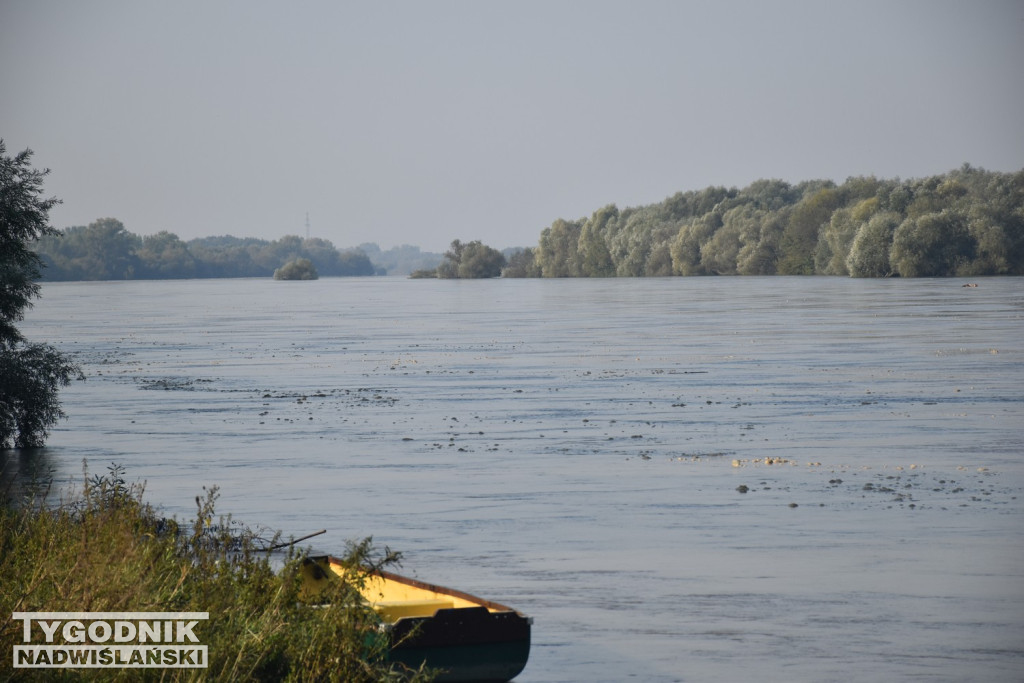 Stan wody na Wiśle w Tarnobrzegu 18.09.24 r.