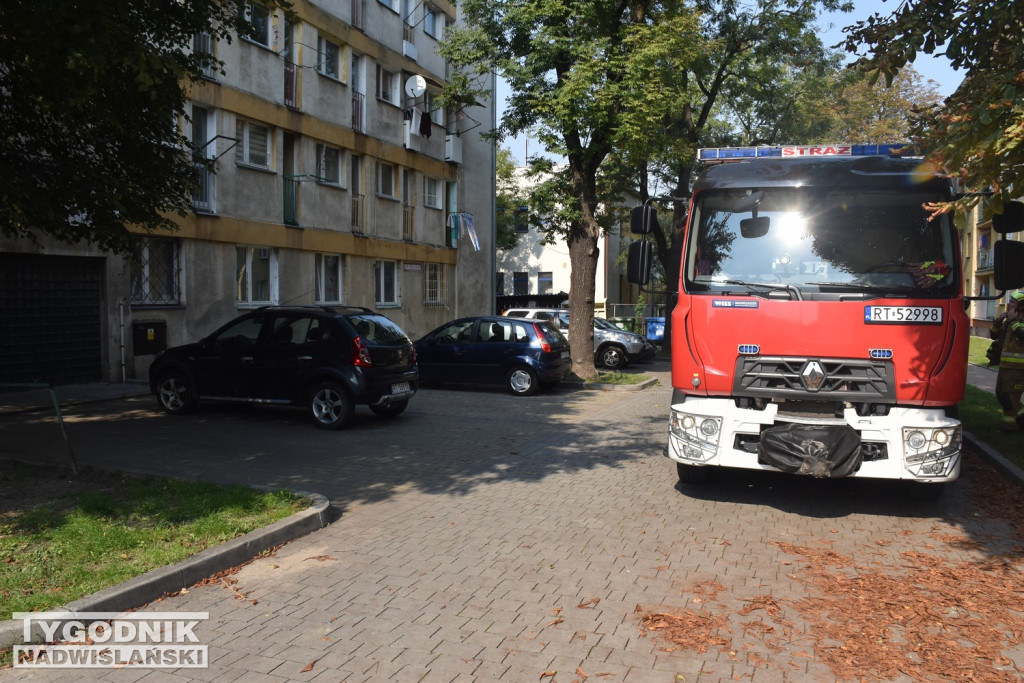 Interwencja służb w Tarnobrzegu 18.09.24 r.