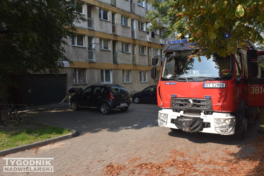 Interwencja służb w Tarnobrzegu 18.09.24 r.