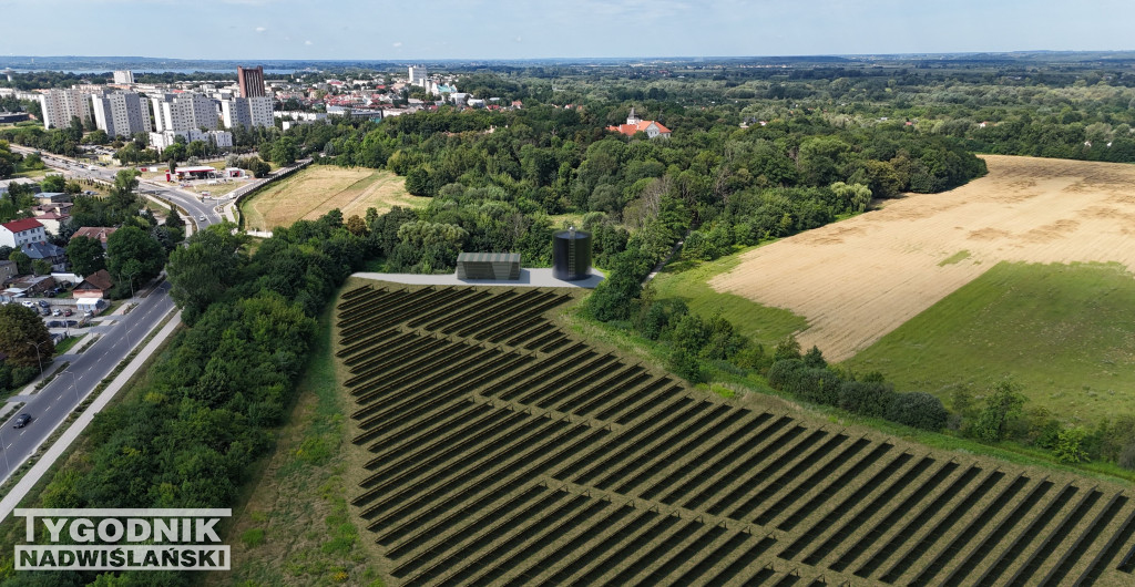 Wizualizacja farmy solarnej w Tarnobrzegu