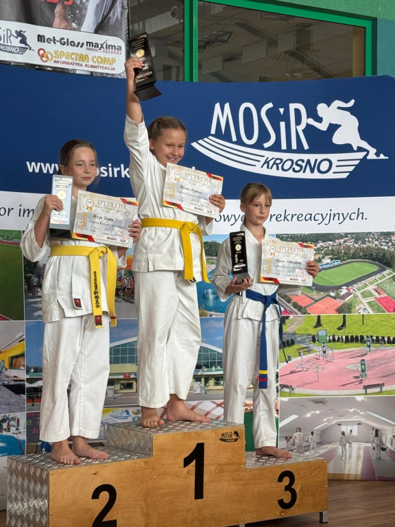 Mistrzostwa Podkarpacia w karate
