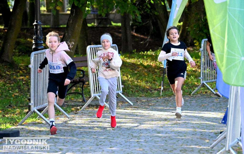 Dziecięce biegi w ramach 46. biegu im. A. Freyera