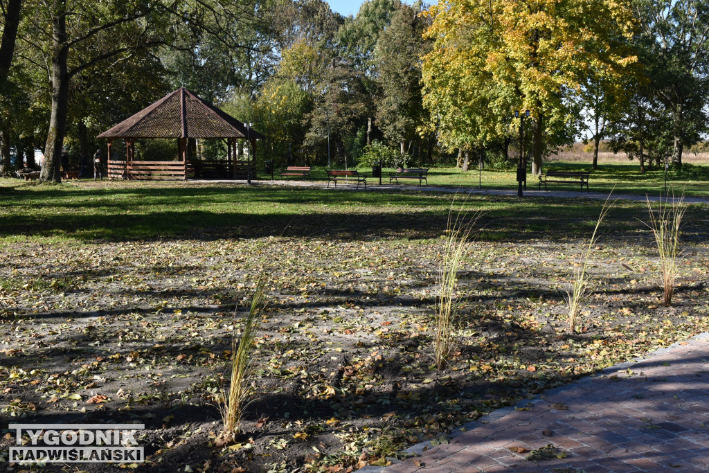 Park w Błoniu po rewitalizacji