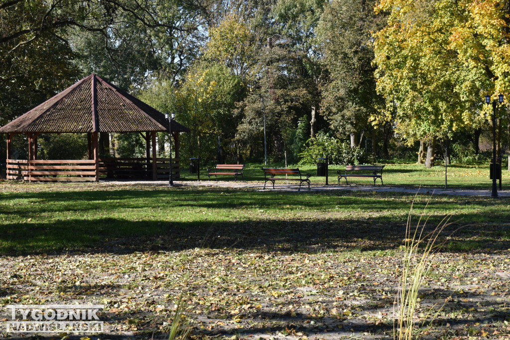 Park w Błoniu po rewitalizacji