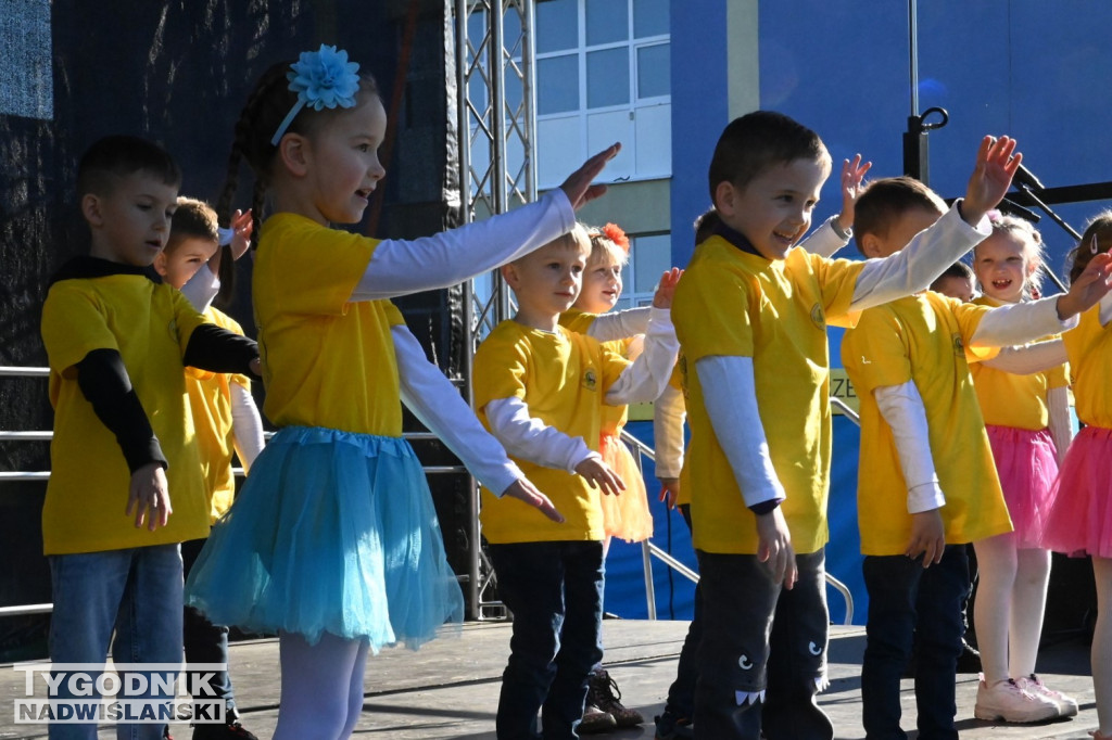 Piknik Rodzinny na Serbinowie - 20.10.2024