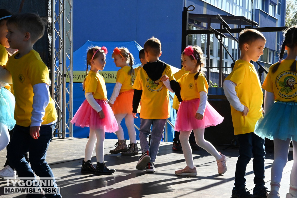 Piknik Rodzinny na Serbinowie - 20.10.2024