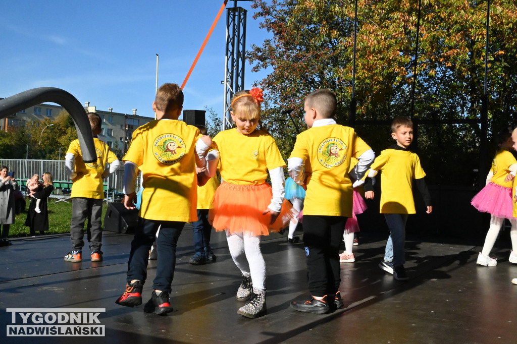 Piknik Rodzinny na Serbinowie - 20.10.2024