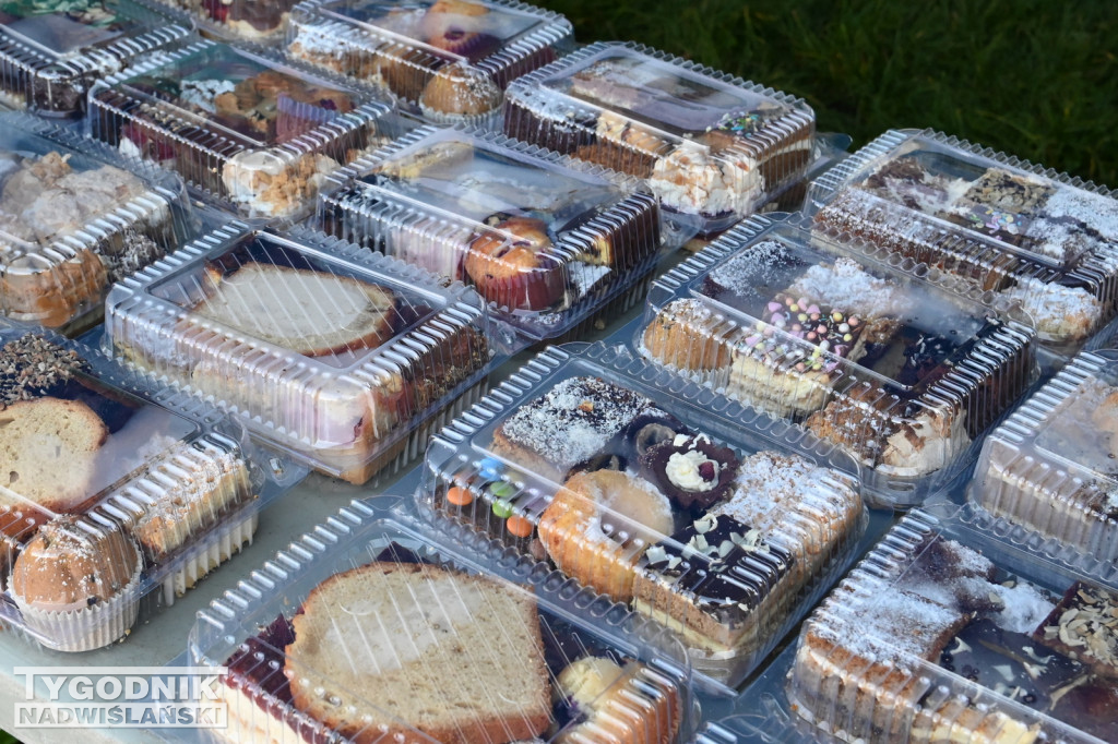 Piknik Rodzinny na Serbinowie - 20.10.2024