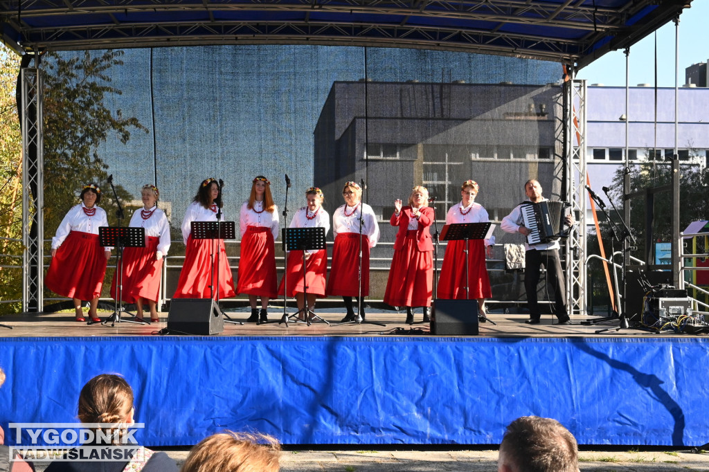 Piknik Rodzinny na Serbinowie - 20.10.2024