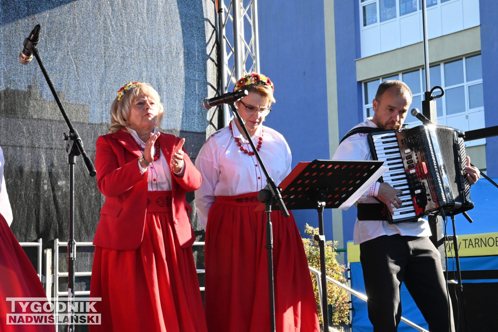 Piknik Rodzinny na Serbinowie - 20.10.2024