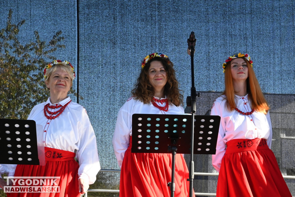 Piknik Rodzinny na Serbinowie - 20.10.2024