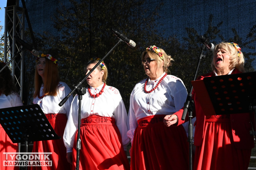 Piknik Rodzinny na Serbinowie - 20.10.2024