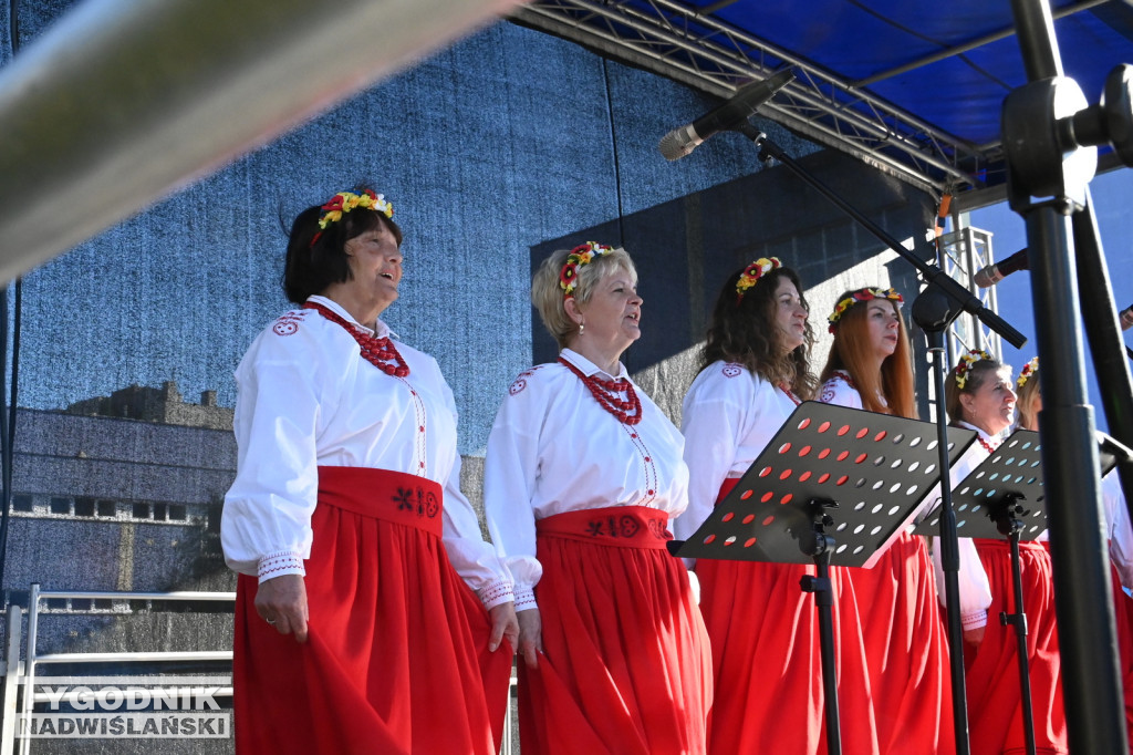 Piknik Rodzinny na Serbinowie - 20.10.2024