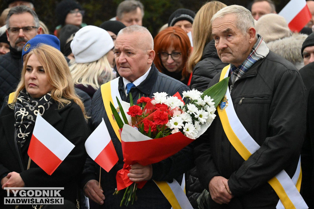 Radosne Święto Niepodległości w Tarnobrzegu [ZDJĘCIA]