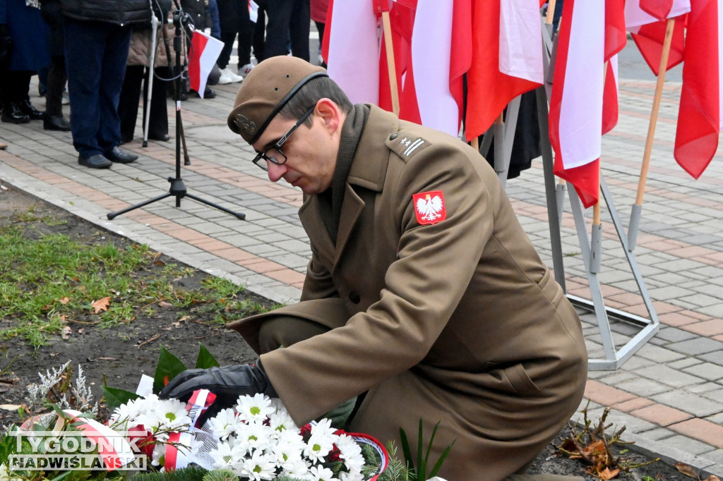 Radosne Święto Niepodległości w Tarnobrzegu [ZDJĘCIA]