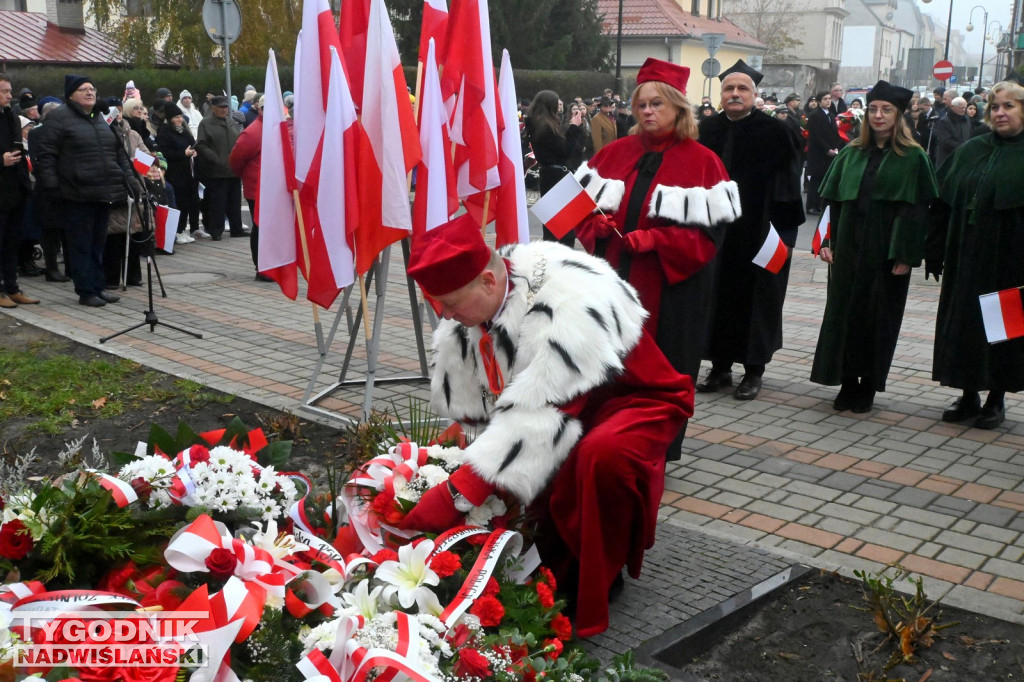 Radosne Święto Niepodległości w Tarnobrzegu [ZDJĘCIA]