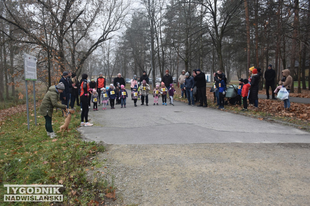 Bieg Niepodległości w Nowej Dębie