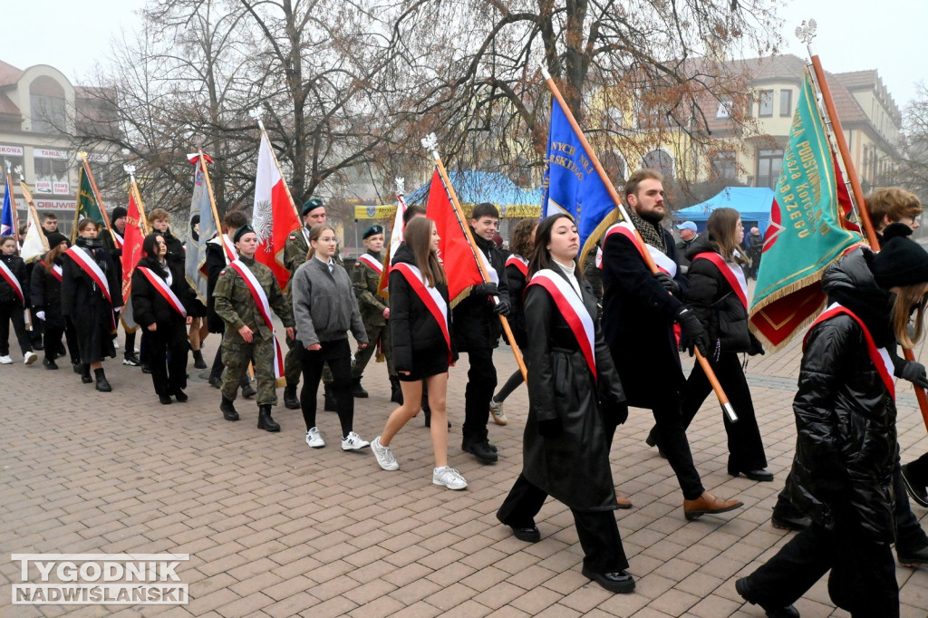 Piknik Patriotyczny w Tarnobrzegu