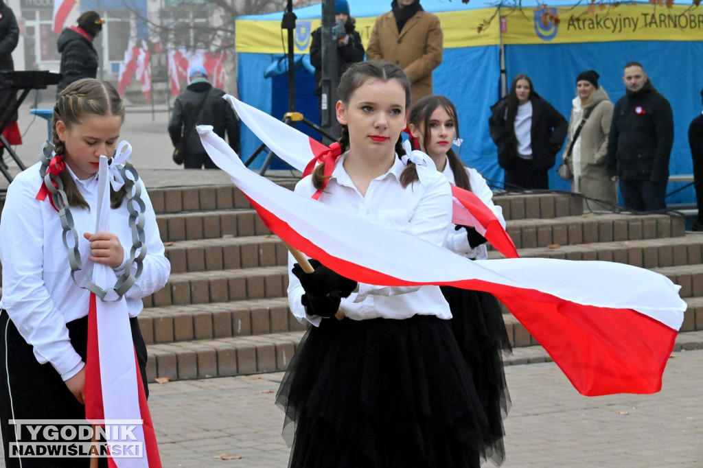 Piknik Patriotyczny w Tarnobrzegu