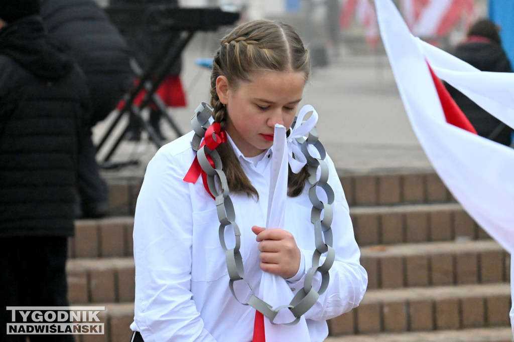 Piknik Patriotyczny w Tarnobrzegu