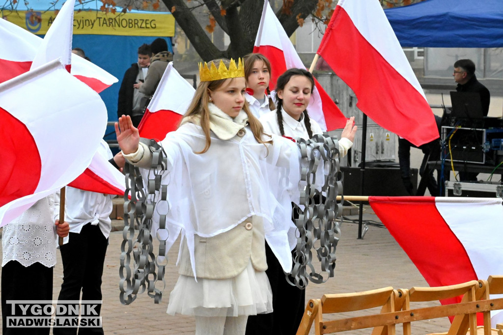 Piknik Patriotyczny w Tarnobrzegu