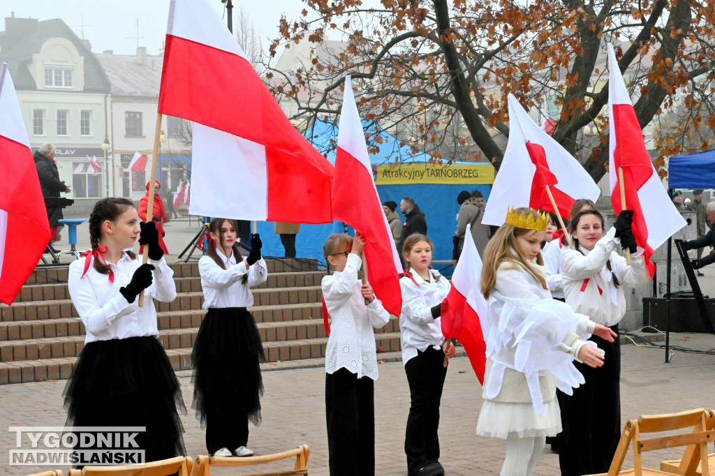 Piknik Patriotyczny w Tarnobrzegu