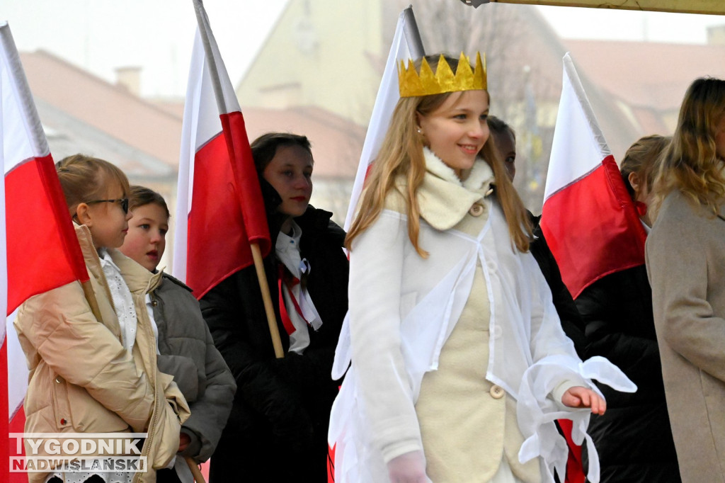 Piknik Patriotyczny w Tarnobrzegu