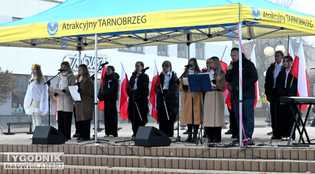 Piknik Patriotyczny w Tarnobrzegu