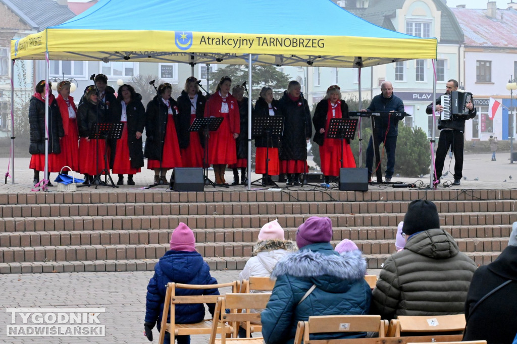 Piknik Patriotyczny w Tarnobrzegu