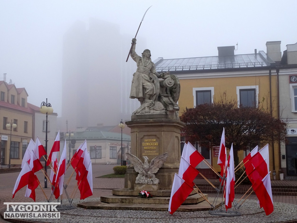 Piknik Patriotyczny w Tarnobrzegu