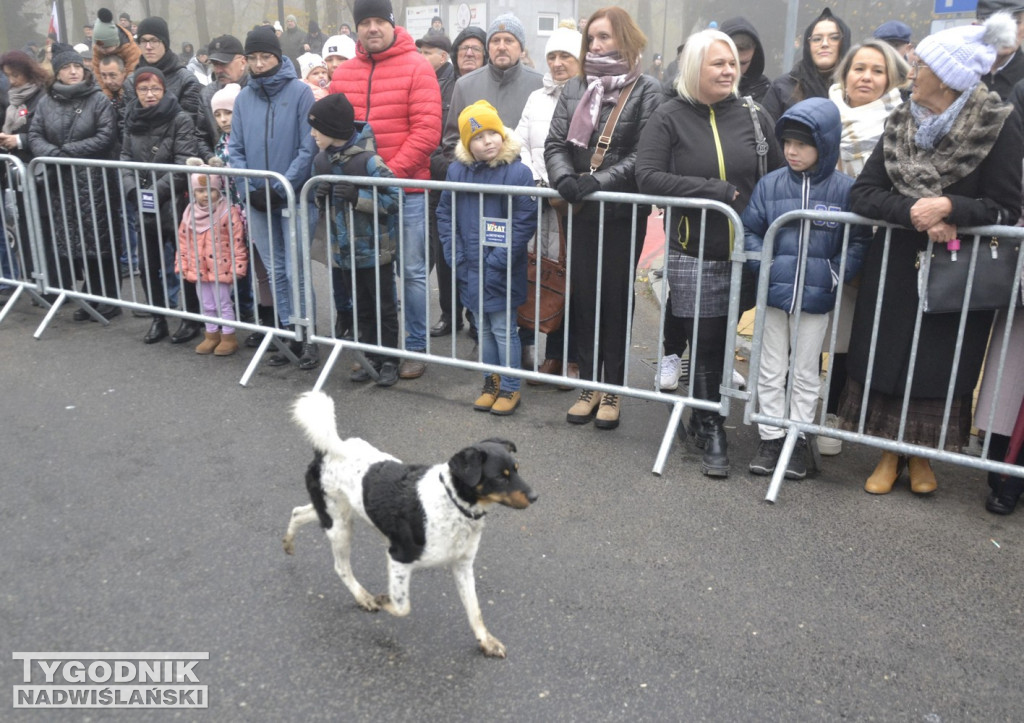Święto Niepodległości w Sandomierzu