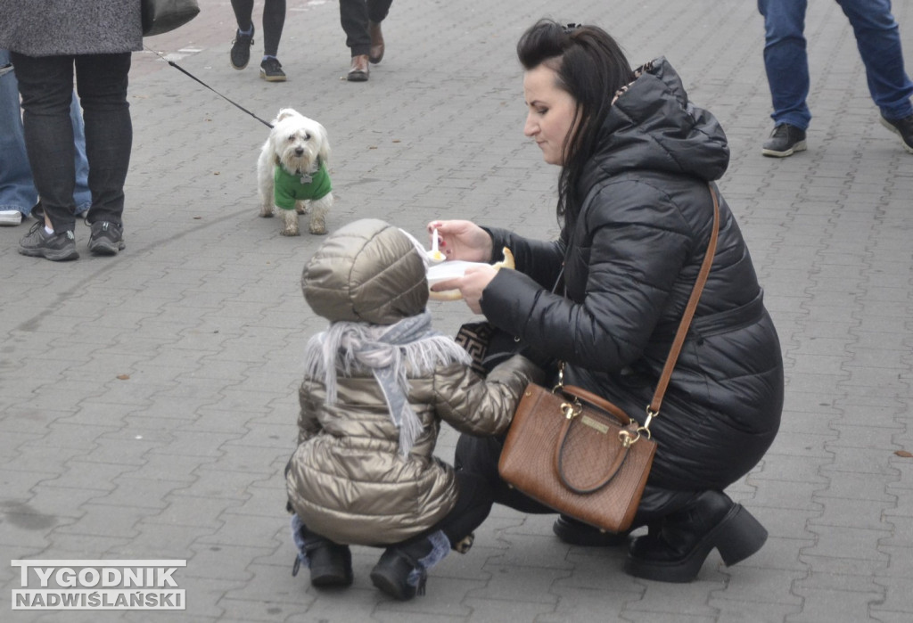 Święto Niepodległości w Sandomierzu