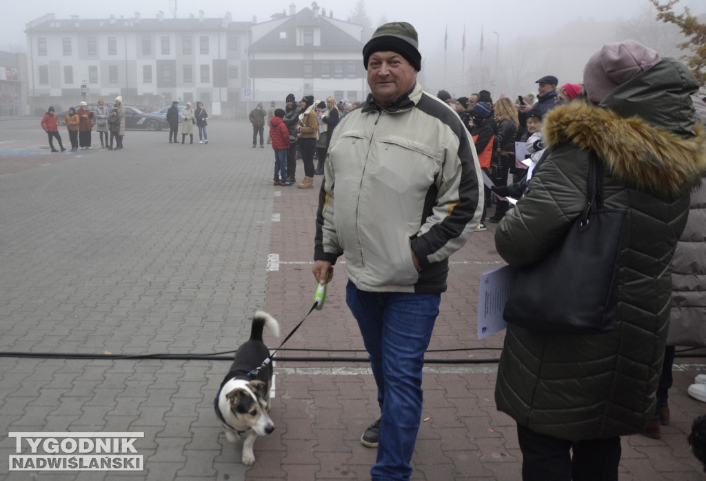Święto Niepodległości w Sandomierzu