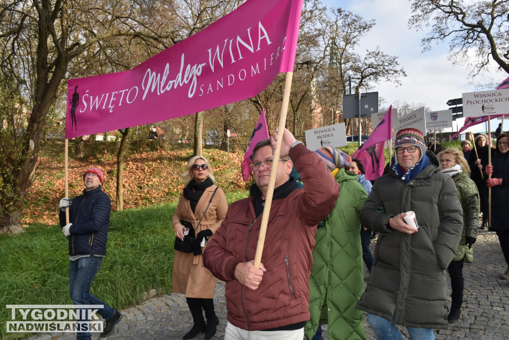 Święto Młodego Wina w Sandomierzu