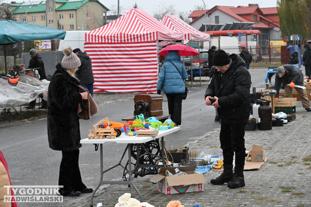 Pchli Targ w Tarnobrzegu - listopad 2024