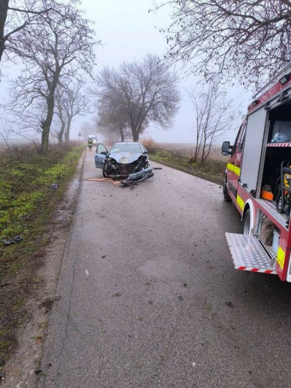 Ford uderzył w drzewo w pow. opatowskim