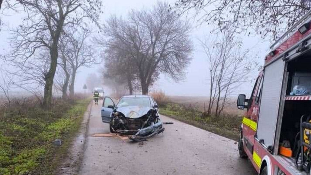 Ford uderzył w drzewo w pow. opatowskim